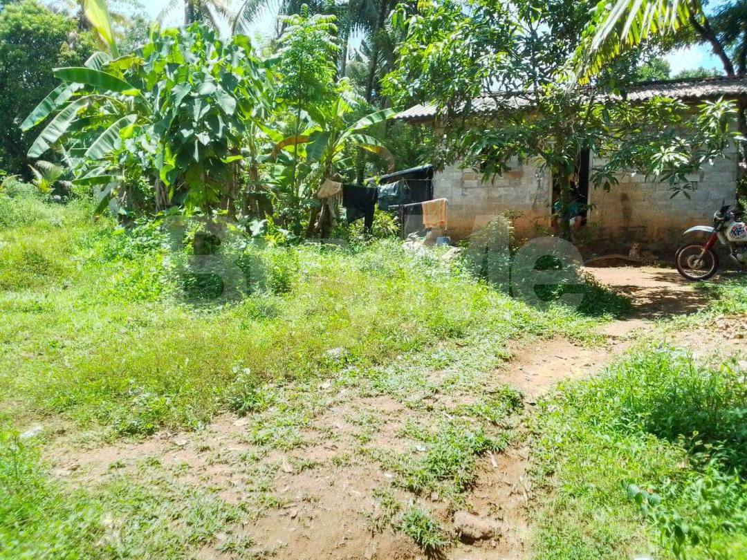 20 PERCH LAND WITH HOUSE FOR SALE IN PUGODA