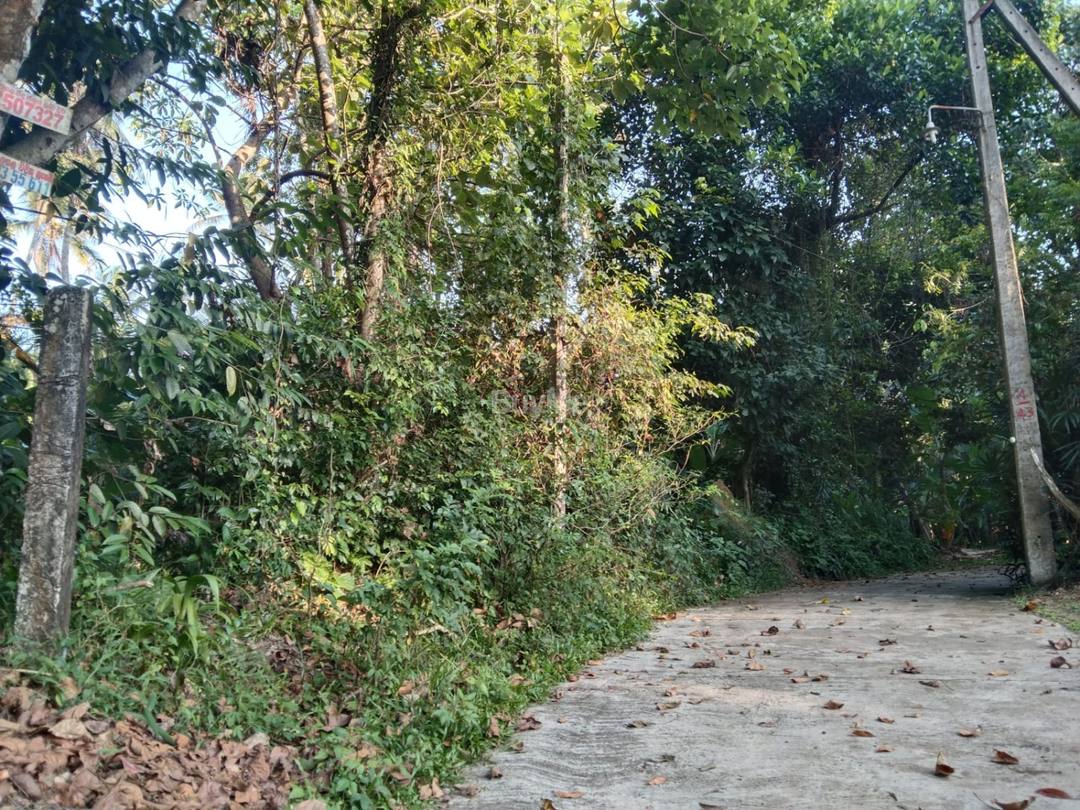 LAND FOR SALE IN BEMMULLA, GAMPAHA