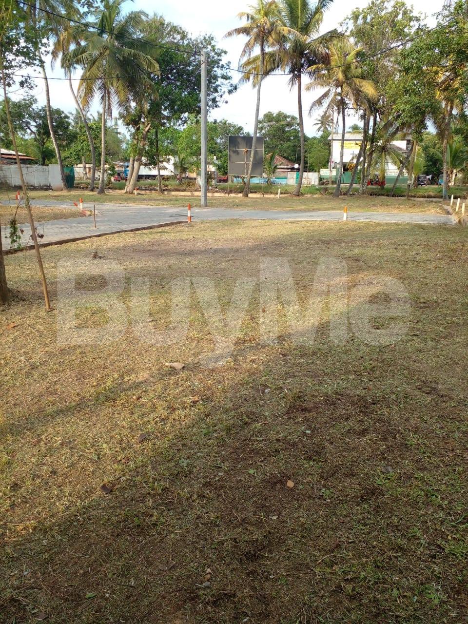 LAND FOR SALE IN WATTALA - SAVI LANDS