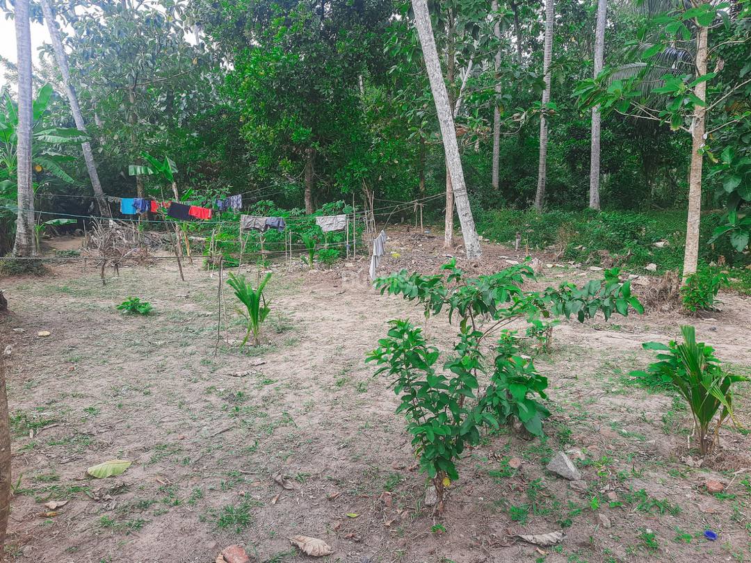 A 13 PERCHES LAND FOR SALE IN KATANA, NEGOMBO