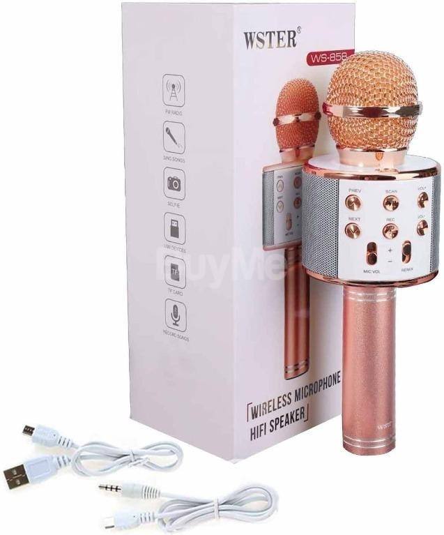 KARAOKE MIC