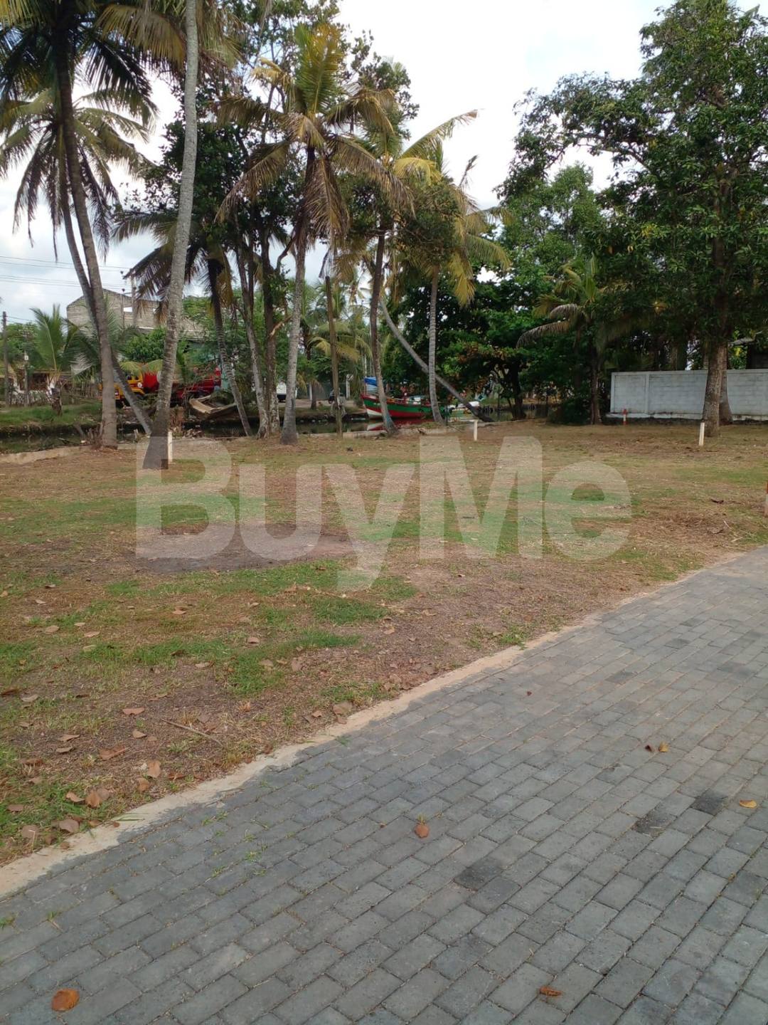 LAND FOR SALE IN WATTALA - SAVI LANDS