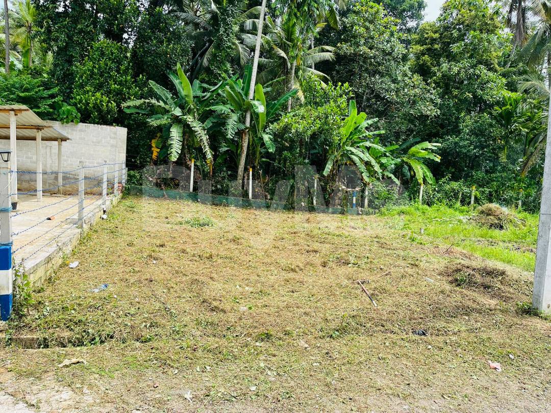 රාගම නගර මධ්‍යයෙන් පචස් 6 ක වටිනා ඉඩමක් විකිනීමට