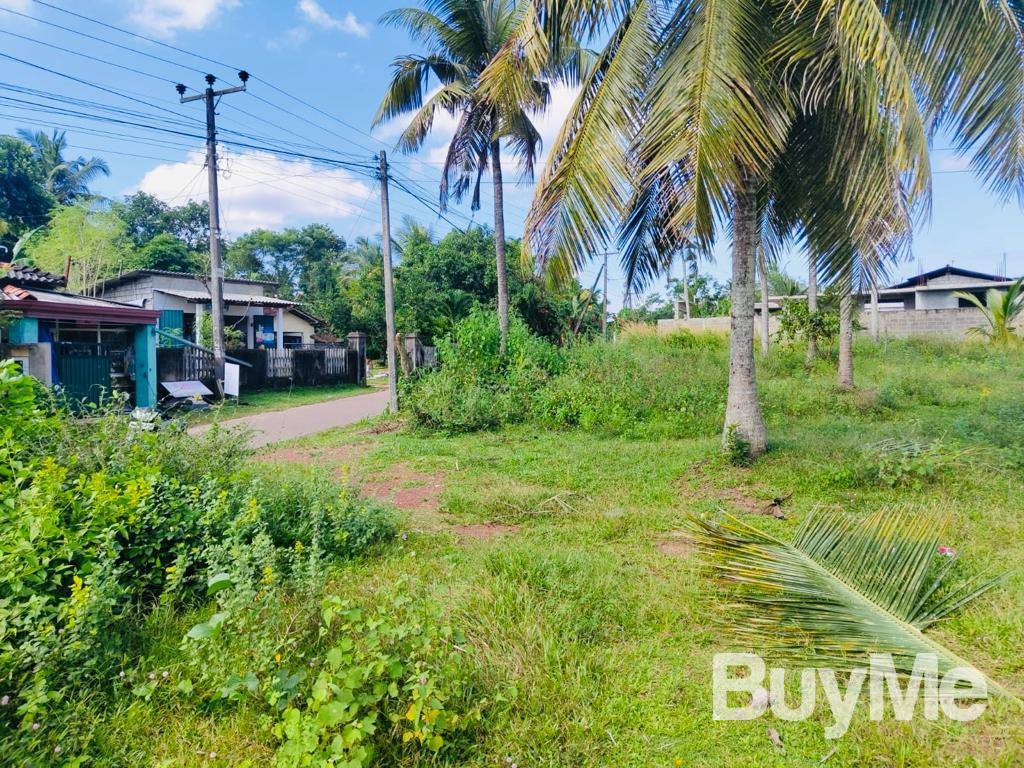 LAND FOR SALE IN NIWANDAMA JA-ELA