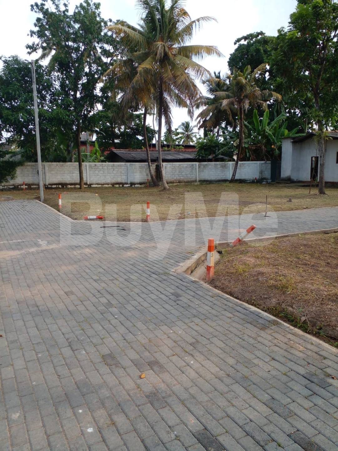 LAND FOR SALE IN WATTALA BY SAVI LANDS