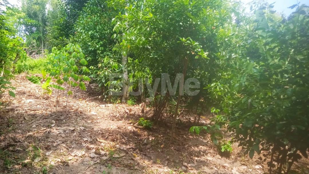 LAND FOR SALE NEAR MATARA NEW HOSPITAL (LABEEMA)