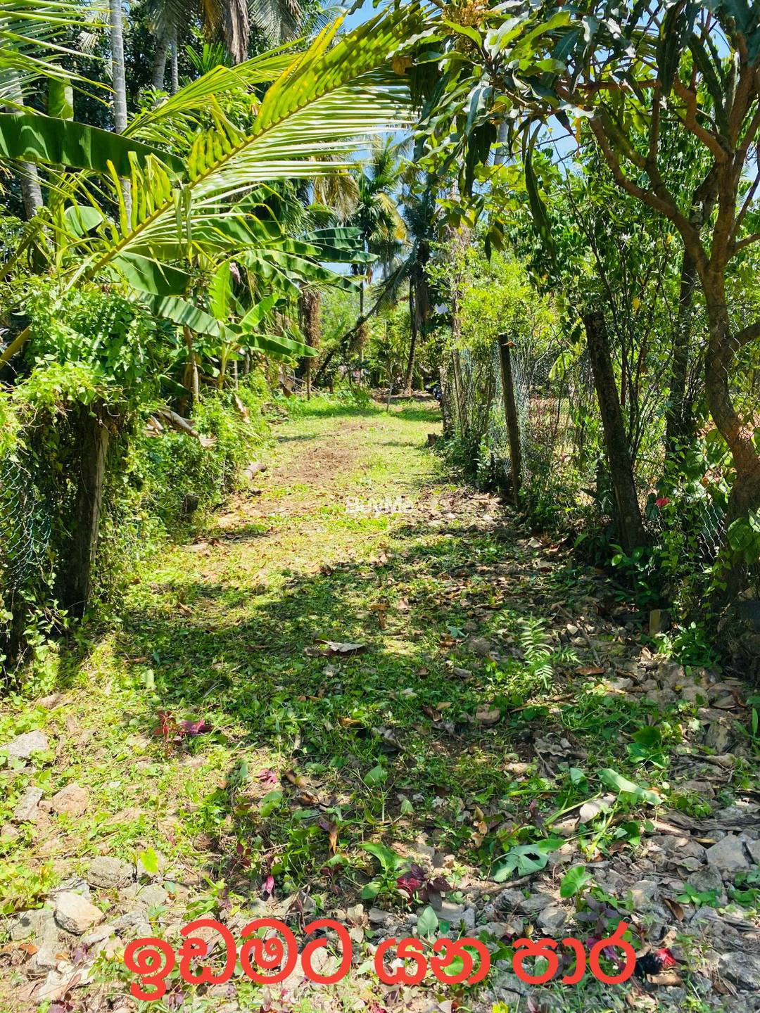 LAND FOR SALE IN JA-ELA