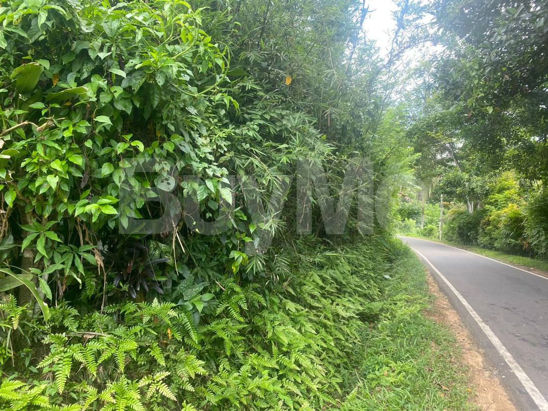 LAND WITH OLD HOUSE SALE IN HORANA
