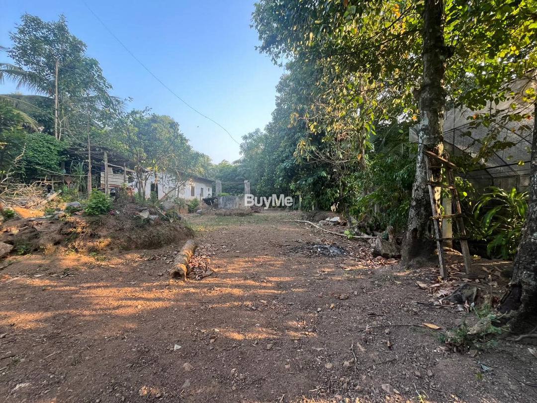 Land for sale in Mahara Dalupitiya road
