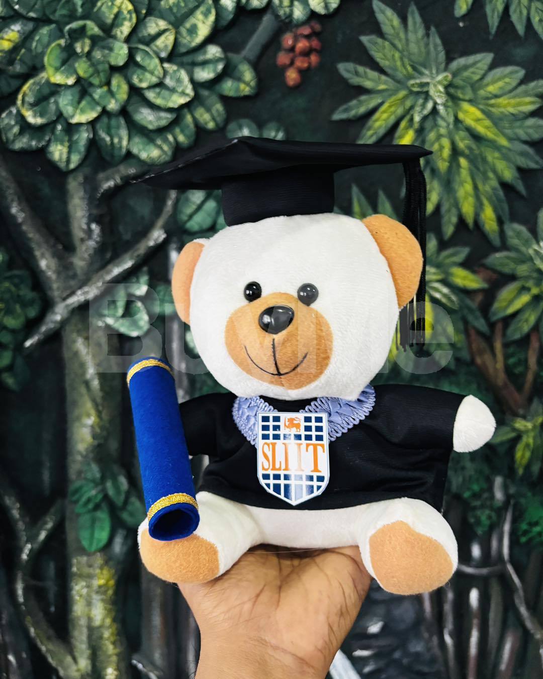 GRADUATION TEDDY BEAR | GRADUATION GIFT DEGREE BEAR - 24CM - WHITE