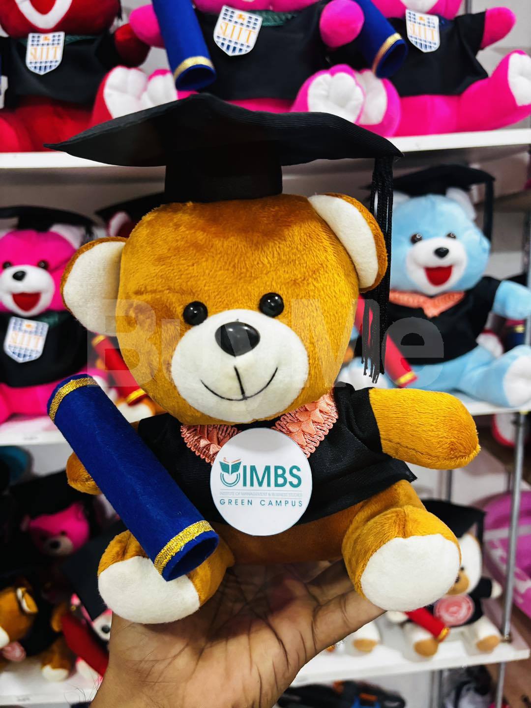UNIVERSITY CONVOCATION GIFT (24CM) - TEDDY BEAR IMBS