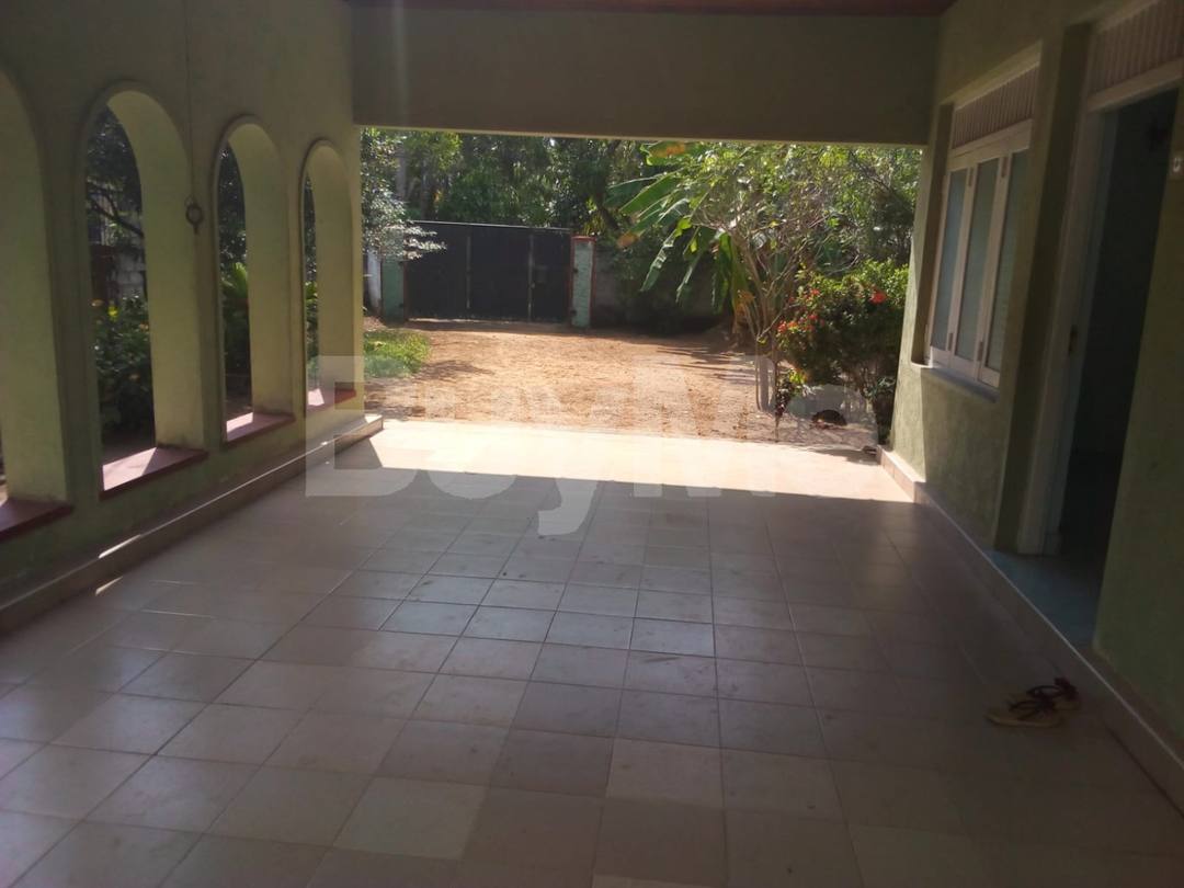 TWO HOUSES FOR SALE IN ONE LAND IN INDIGOLLA, GAMPAHA