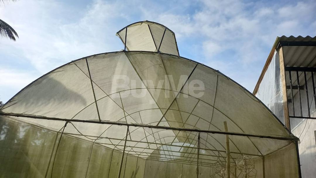 GREENHOUSE/ POLYTUNNEL HOUSE FOR SALE