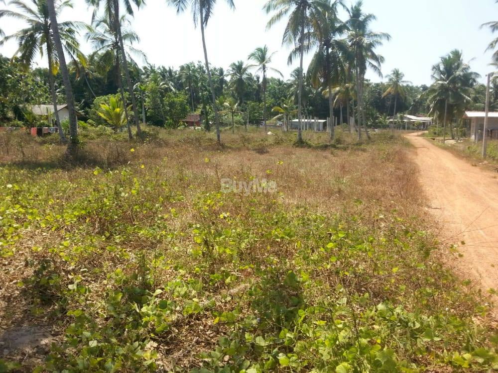 Land for sale
