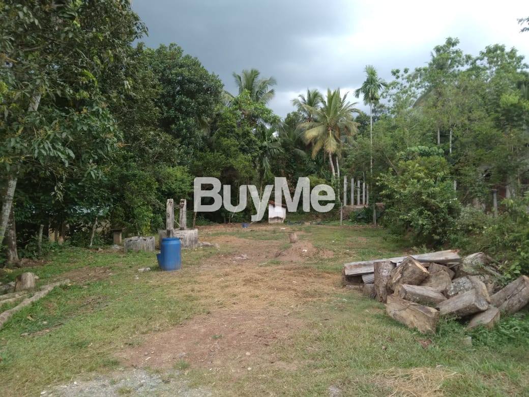 LAND FOR SALE IN DELGODA