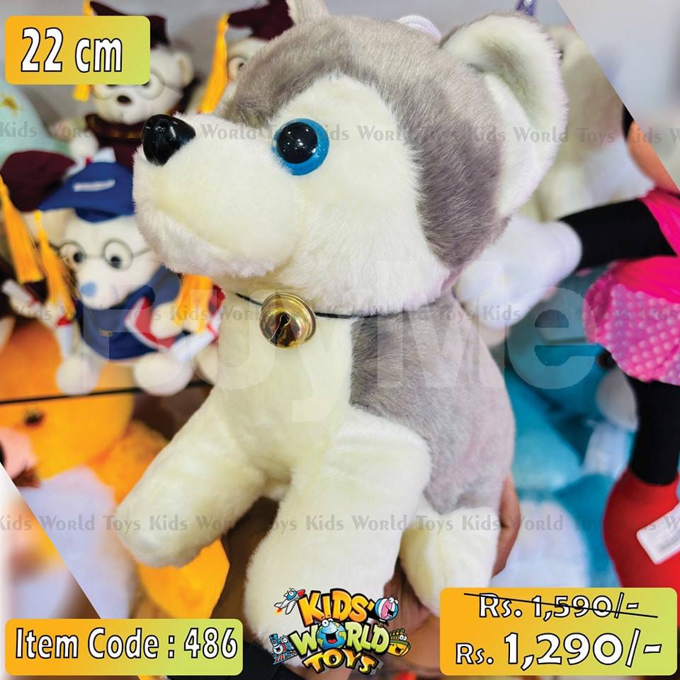 DOG TEDDY FOR KIDS