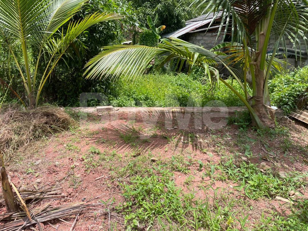 LAND FOR SALE IN KATUNAYAKE