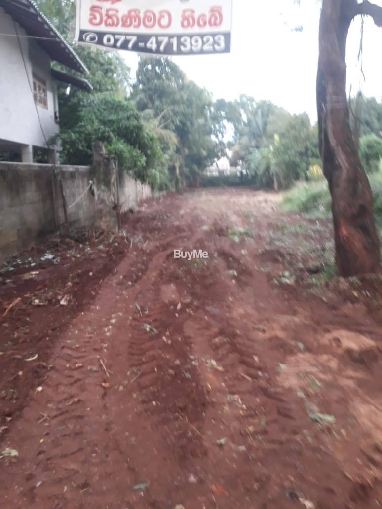 LAND FOR SALE IN ANURADHAPURA CITY