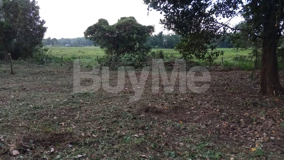 LAND FOR SALE IN GAMPAHA
