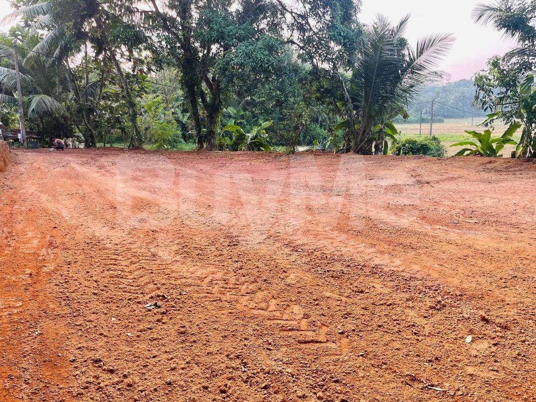 පානදුර නගරයට ආසන්නව අගනා බිම් කොටස් 2ක් විකිණීමට