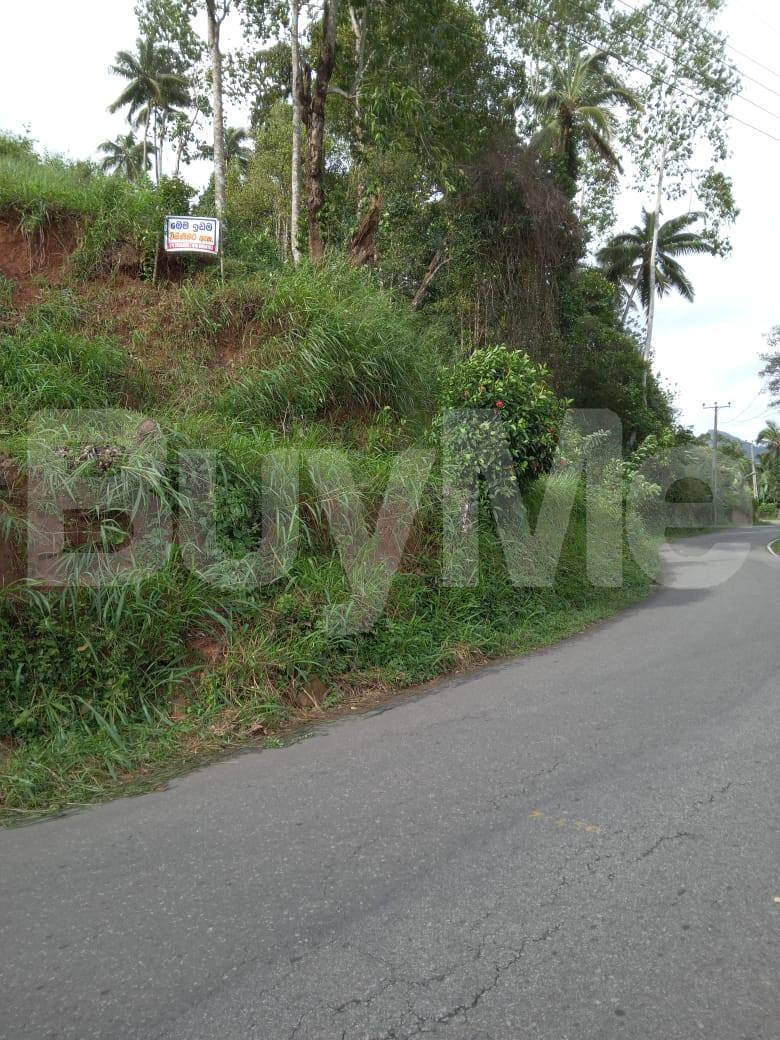 LAND FOR SALE IN PILIMATALAWA