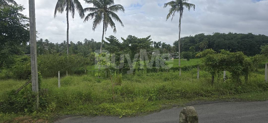 VALUABLE RESIDENTIAL LAND FOR SALE ATHURUGIRIYA TOWN