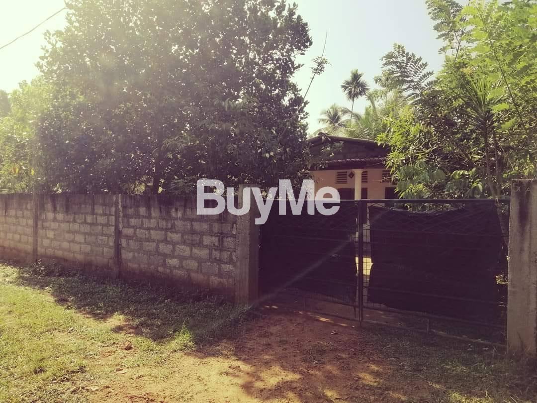 HOUSE WITH LAND FOR SALE IN HOMAGAMA HALBARAWA ROAD