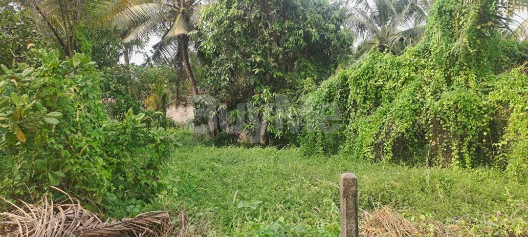 මාදම්පෙන් පර්චස් 10 ක හතරැස් ඉඩමක්