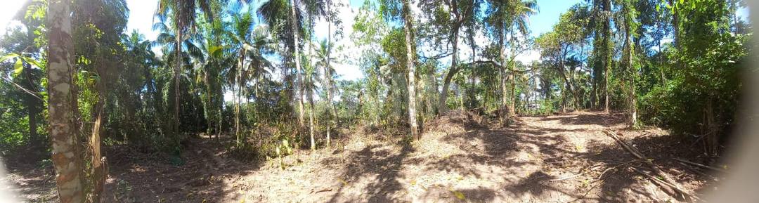 VALUABLE LAND FOR SALE IN PITUWALGODA, YAKKALA