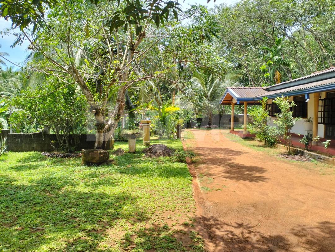 LAND WITH HOUSE FOR SALE IN DOMPE