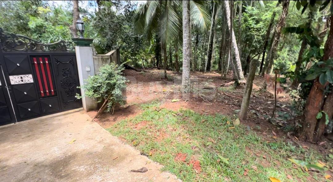 LAND FOR SALE IN PITIPANA