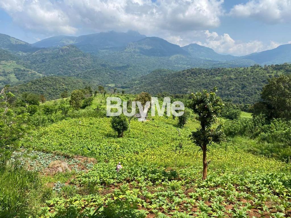 LAND FOR SALE IN KANDY, MADUGALLA