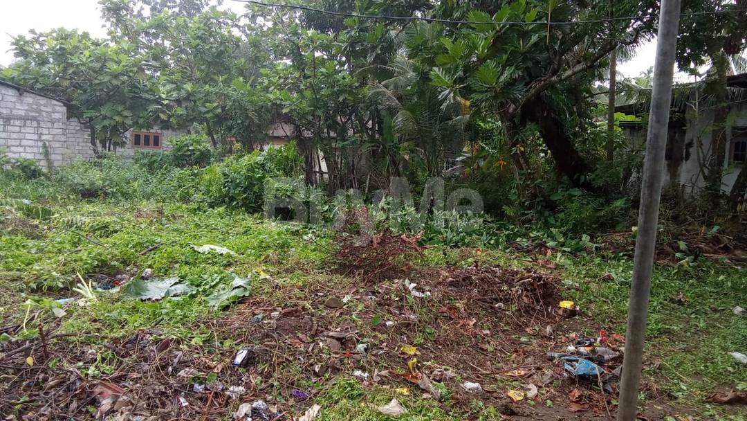 LAND FOR SALE IN PANADURA