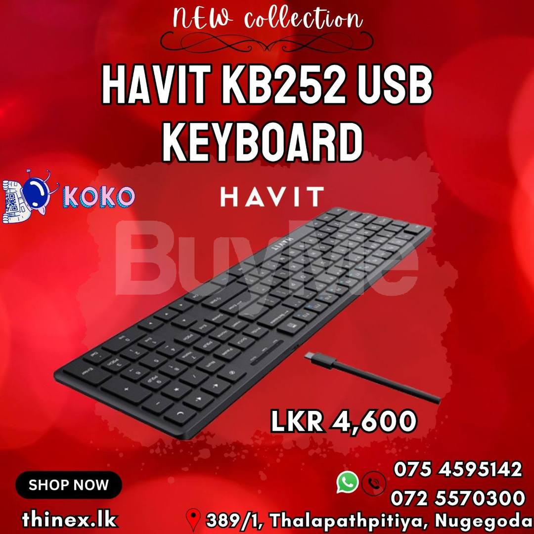HAVIT KB252 USB KEYBOARD