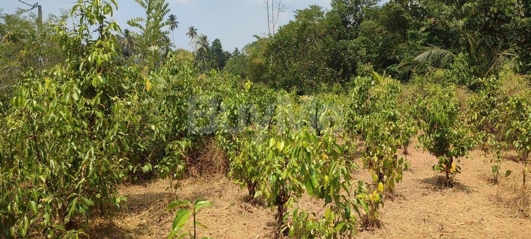 LAND FOR SALE IN BANDARAGAMA