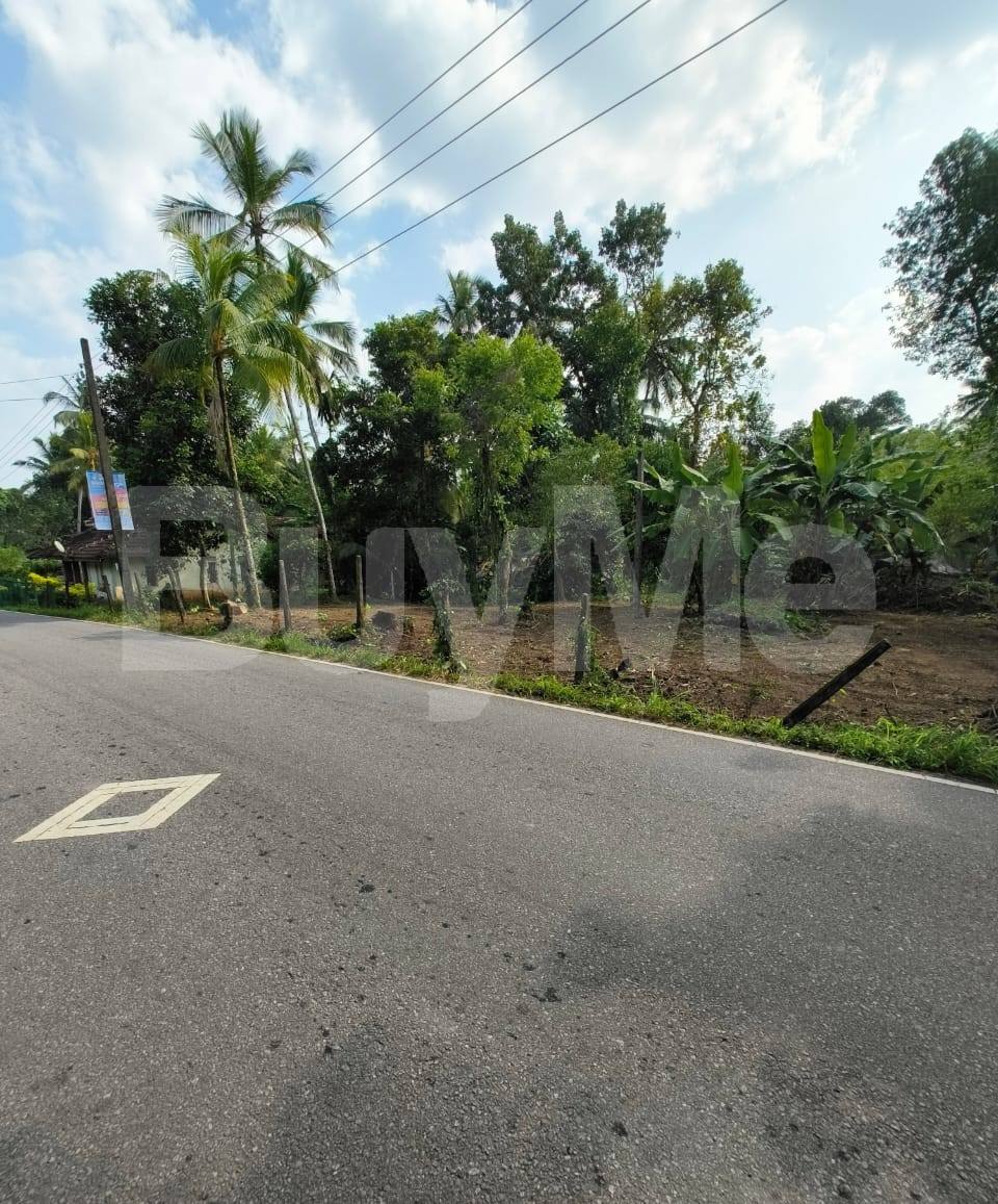 COMMERCIAL LAND WITH HOUSE FOR SALE IN VEYANGODA