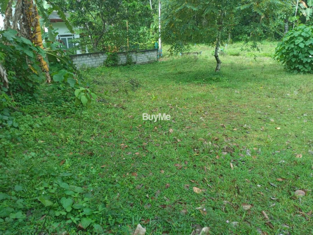LAND FOR SALE IN AMBARALUWA RD, WELIWERIYA