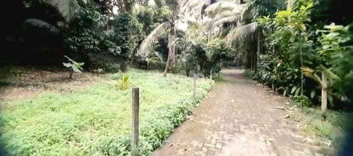Land for sale in Rajagiriya.