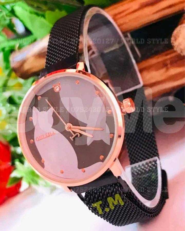 LADIES MAGNET WATCH