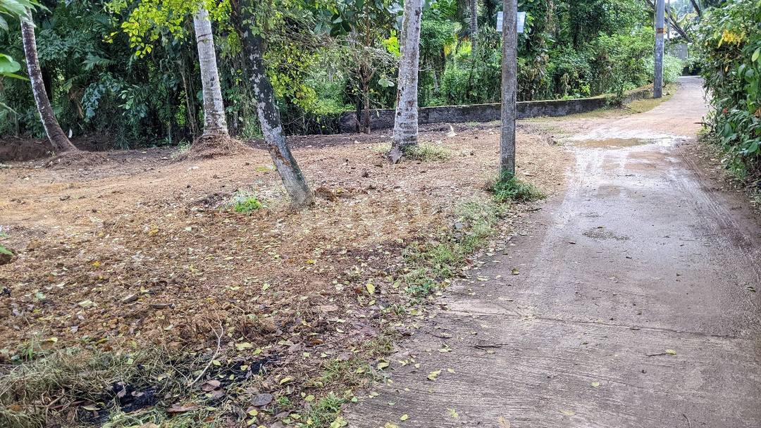 LAND FOR SALE IN MIRIGAMA
