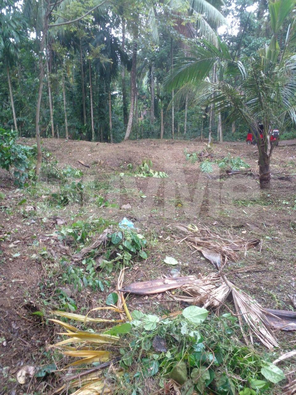 LAND FOR SALE IN ALAWWA, KURUNEGALA