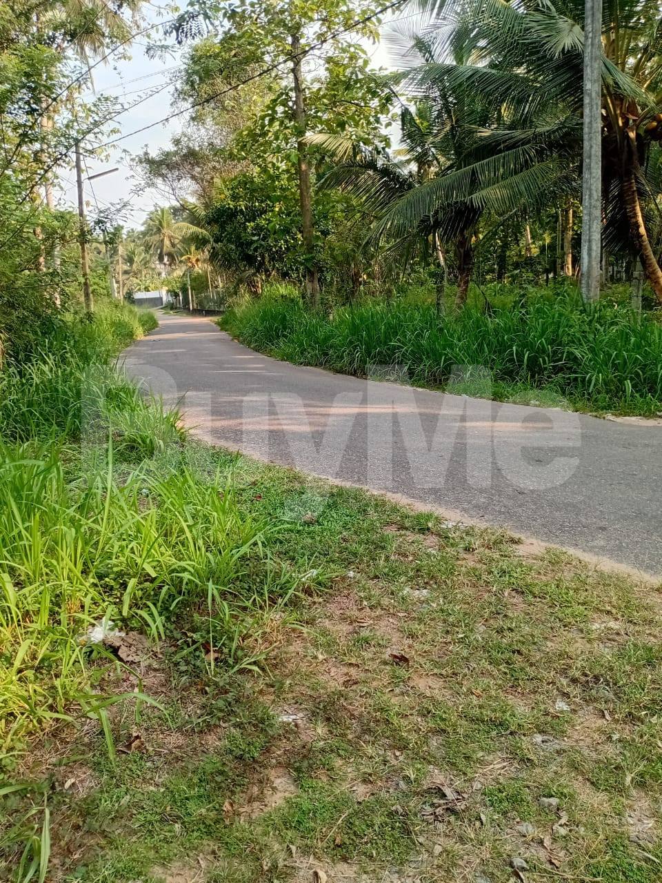LAND FOR SALE IN KATUNAYAKE