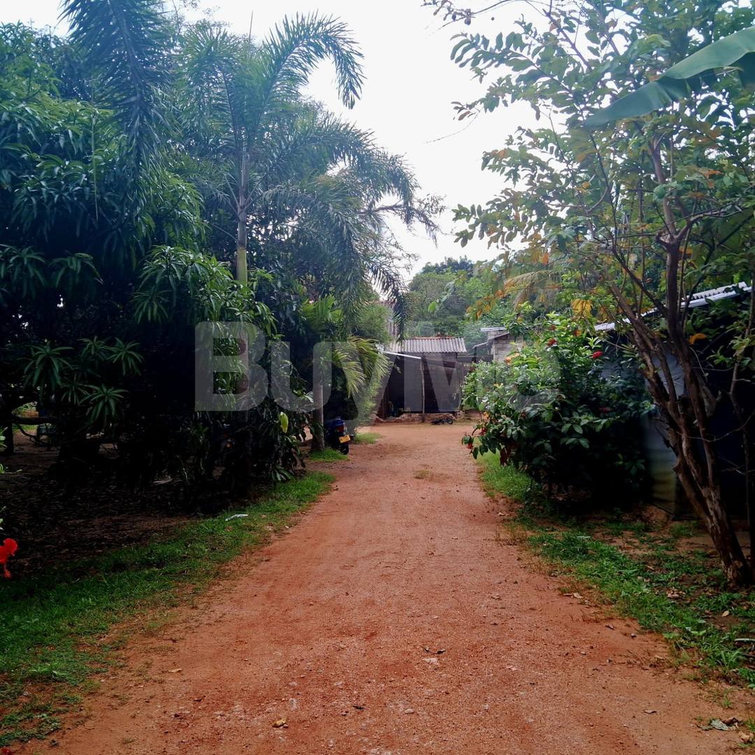 LAND WITH TWO HOUSES FOR SALE IN MIHINTALE