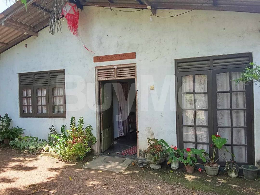 LAND WITH HOUSE SALE IN PILIYANDALA