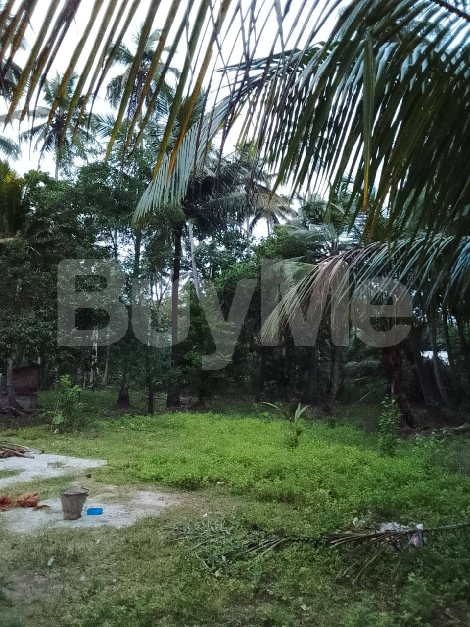 කුරුණෑගල, හෙට්ටිපොල ප්‍රදේශයේ අගනා ඉඩමක් විකිණීමට