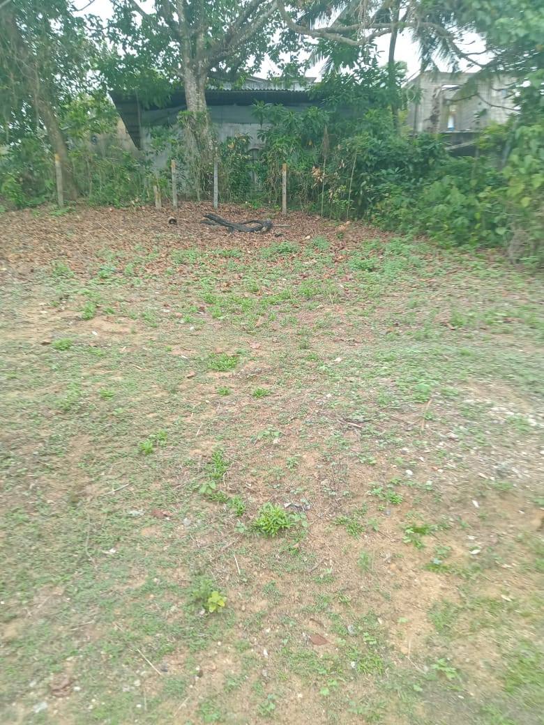 LAND FOR SALE IN HOMAGAMA