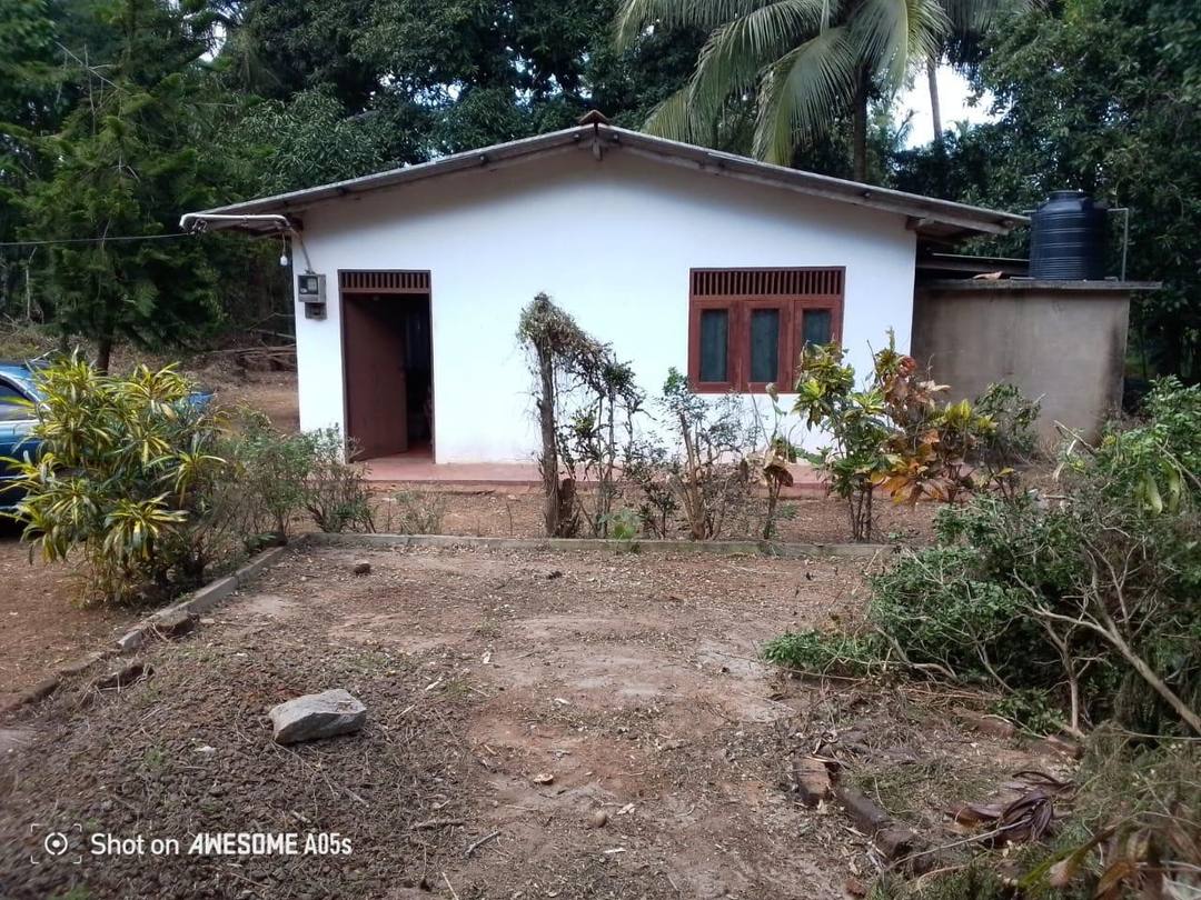 LAND SALE IN HURIGASWEWA