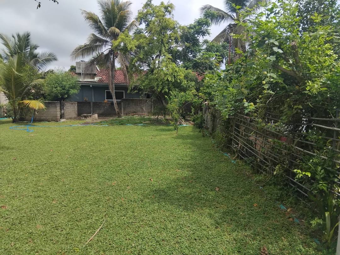 LAND FOR SALE IN BOPITIYA PAMUNUGAMA