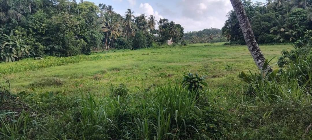 ගාල්ල, හීනටිගල ප්‍රදේශයේ අගනා පර්චස් 28ක ඉඩමක් විකිණීමට