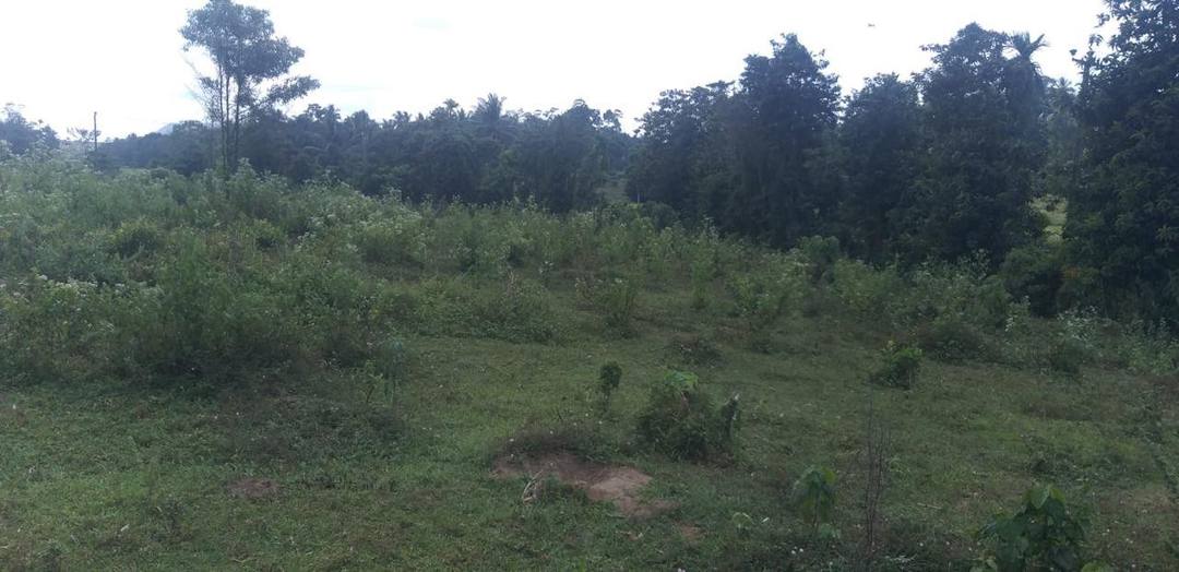 LAND FOR SALE IN PADUKKA